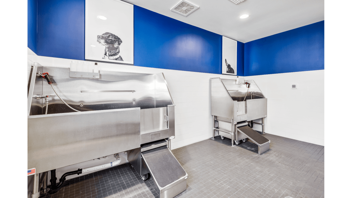 Luxury Apartments for Rent in Sacramento, CA The Eisley Photos